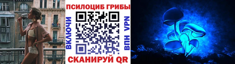 ссылка на мегу ссылки Обь Галлюциногенные грибы Psilocybine cubensis