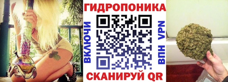 omg зеркало  Обь  Канабис Amnesia 